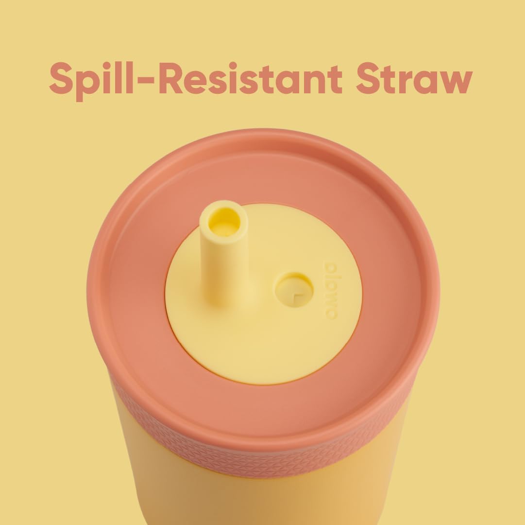 Owala FreeSip  Stainless Steel Water Bottle with Straw